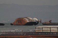 chile 230 09