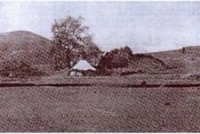 karditsa 225 0